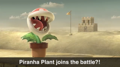 Summary/Elaboration of the New, Smashing Super Smash Bros