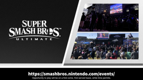 Summary/Elaboration of the New, Smashing Super Smash Bros