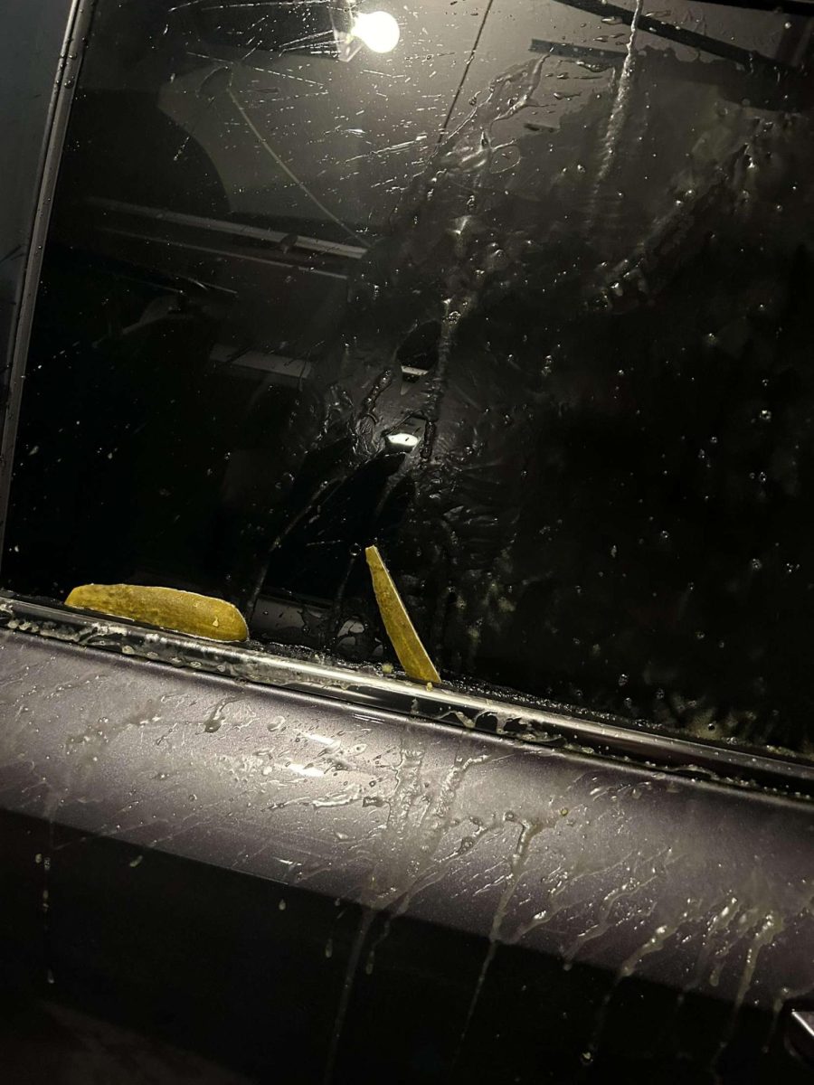 Frozen Pickles on Cars?
